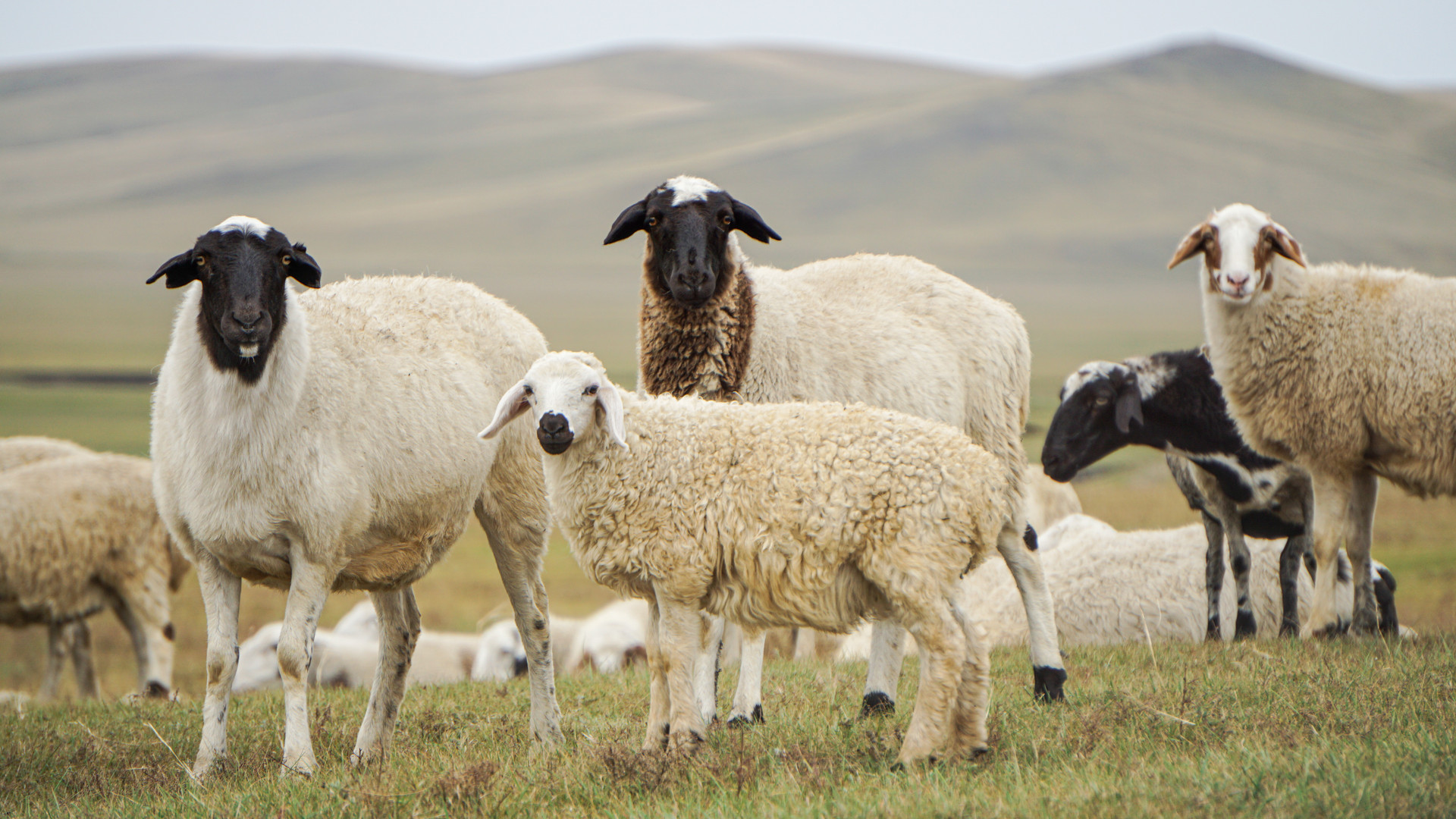 鍗冧嚎鐑х儰璧涢亾,200浜跨殑鐑х儰璧涢亾