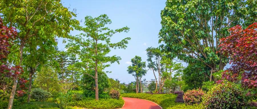 松北新区最新规划图高清,松北即将新建公园