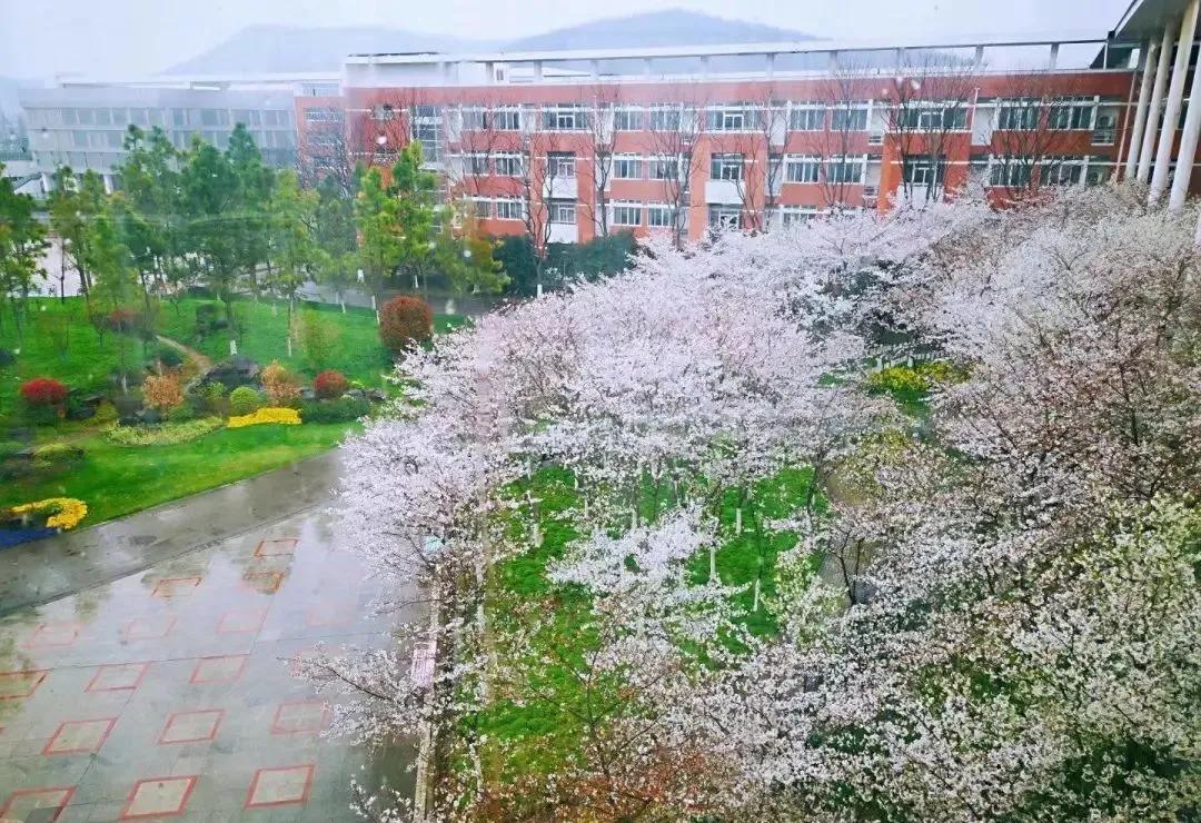 南京十大最好中学,南京五大顶级中学