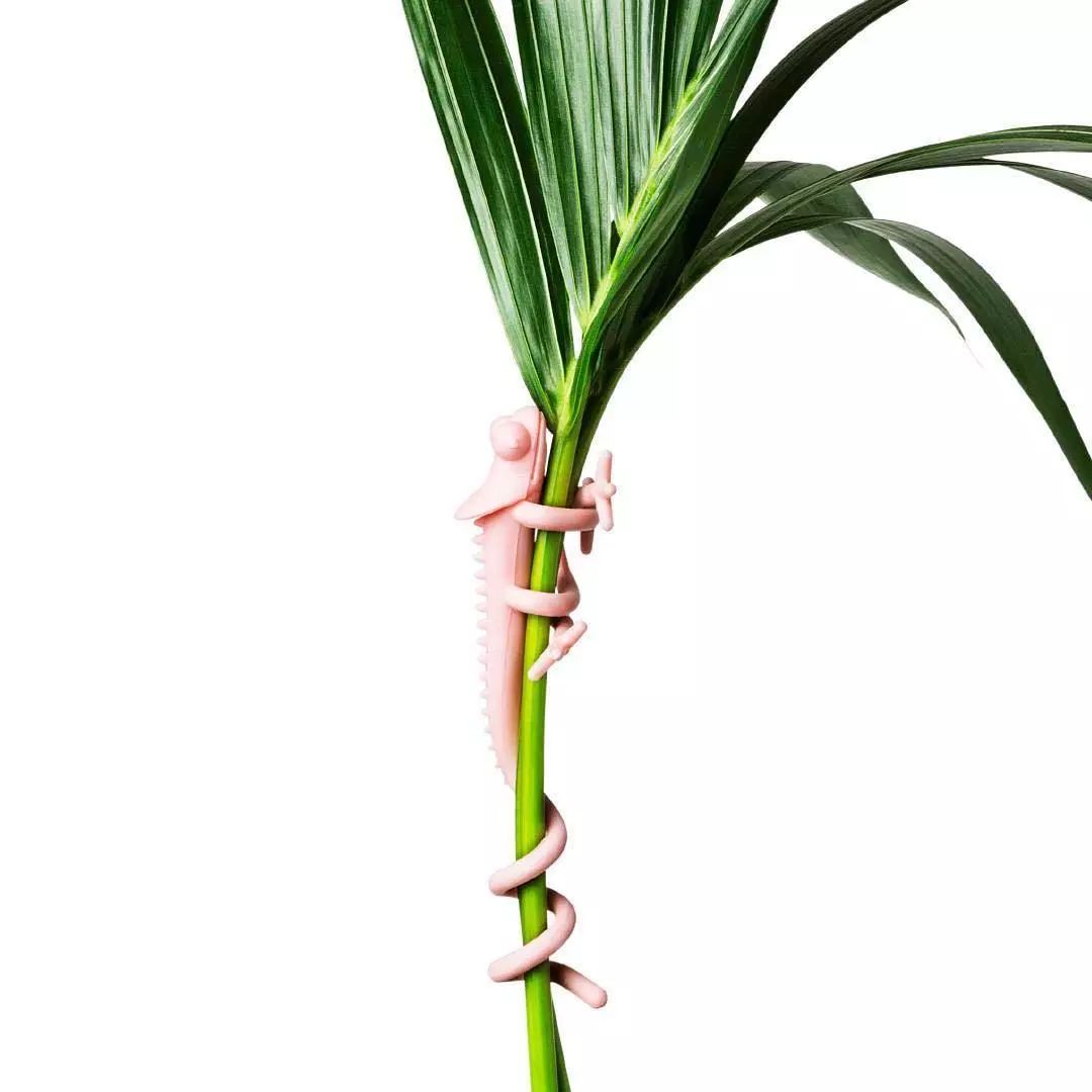 城市里的脑洞乐园，有钱没钱都能拥有的小物件