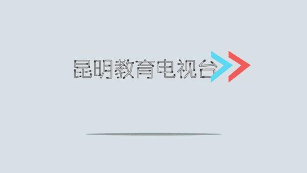 云大知城小学六一,云大知城小学元旦晚会