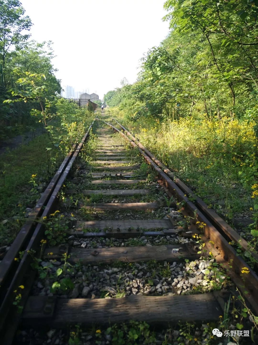 「乐野求生课」6月22重庆游龙山徒步越野报名