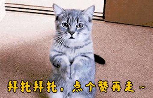 旅行社行业问题有哪些,旅行社行业你不知道的辛苦