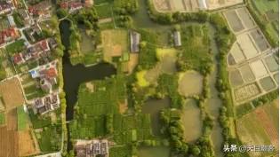 浙江孔庙调查|茅盾故里钩沉:桐乡拆儒宫取良材换钢材造大会堂