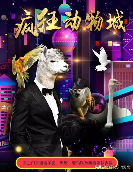 神奇动物狂欢乐园,神奇动物嘉年华武汉汉阳