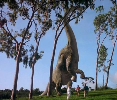 恐龙大量化石,恐龙各个时期都是什么化石