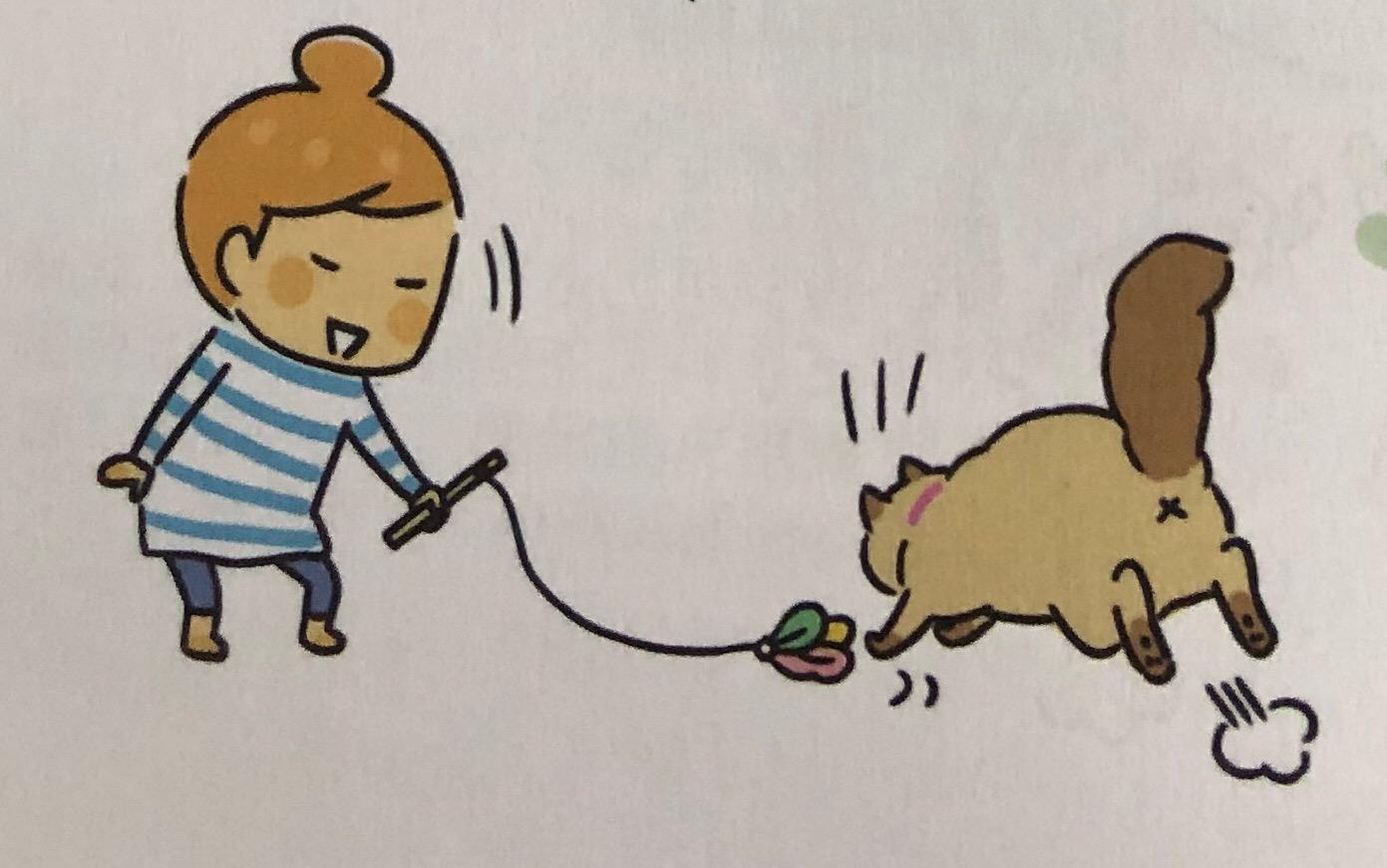 猫咪的玩具怎么动手操作呢,日常生活中该如何做猫咪的玩具