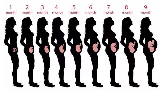 孕妇耻骨痛是不是坐久了的原因,孕妇耻骨痛剧烈走不了路正常吗