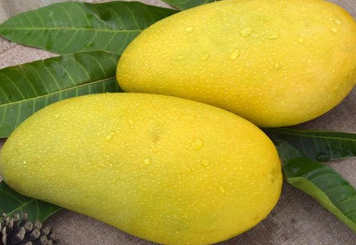 4月份比较亲民的水果,6月份比较便宜的水果