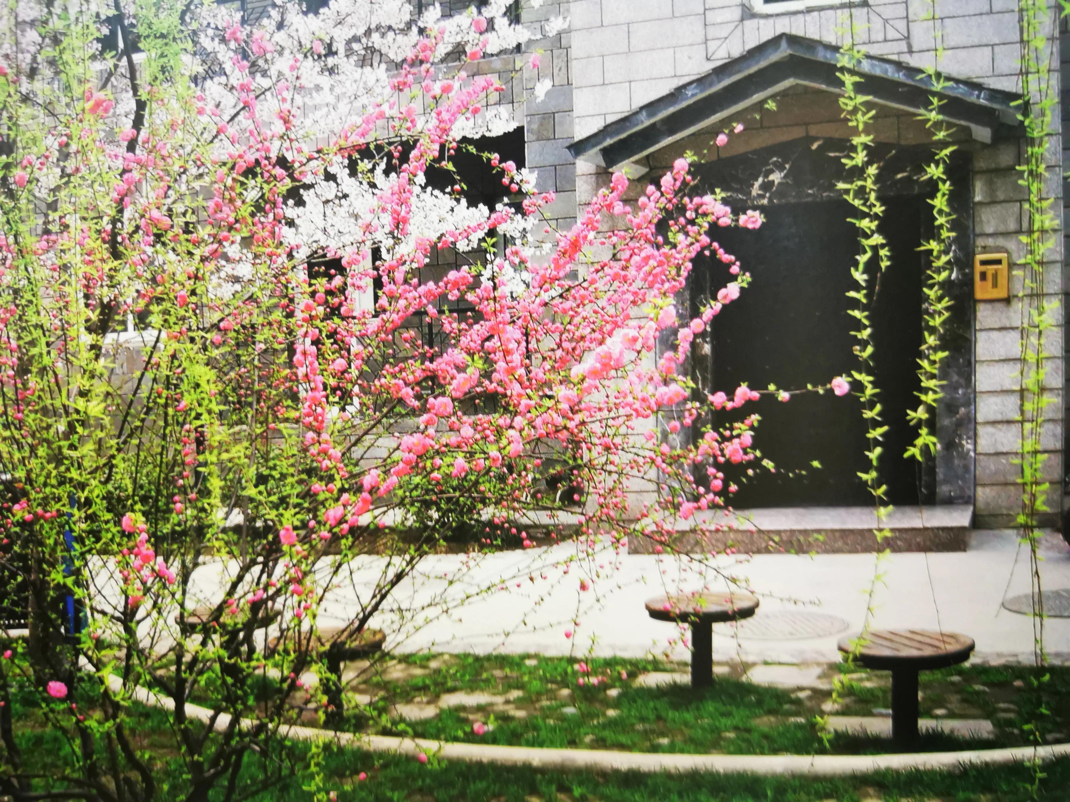 群贤庄老洋房,西安群贤庄