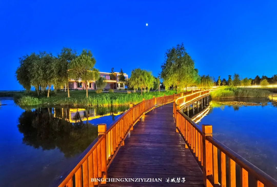 再返富锦，为着那份飘着稻花香的“湿”意约定