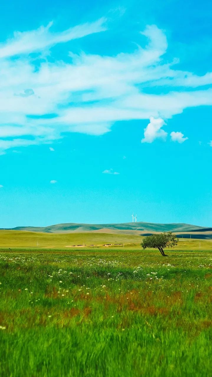 16个夏天最值得去的地方，用一场旅行，开启美好的下半年