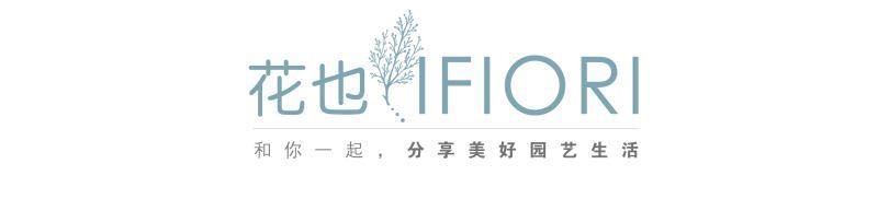 花园里防蚊子,在花园里劳作