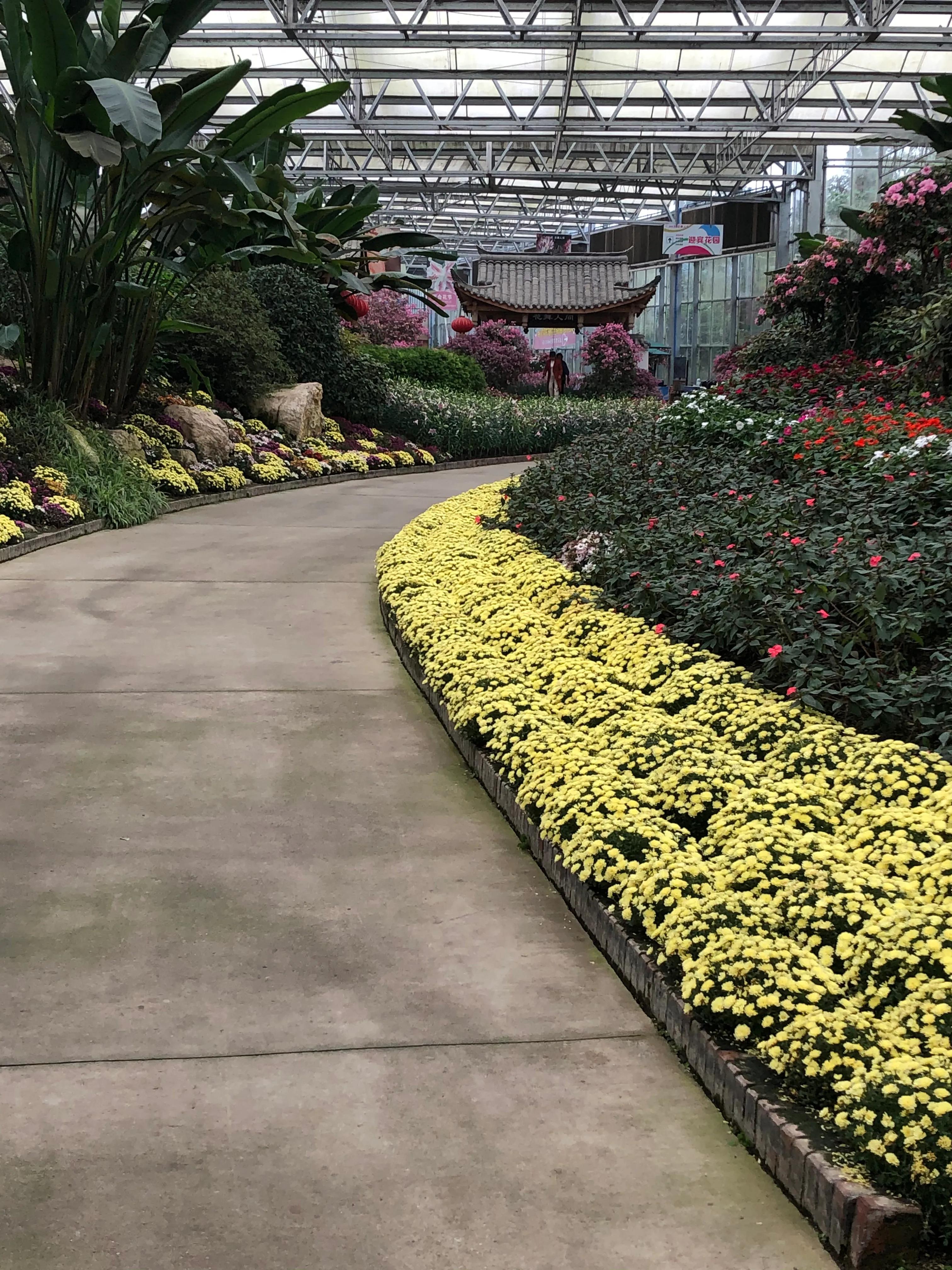 乳腺癌胸壁复发还有必要治吗,乳腺癌复发化疗能活多久