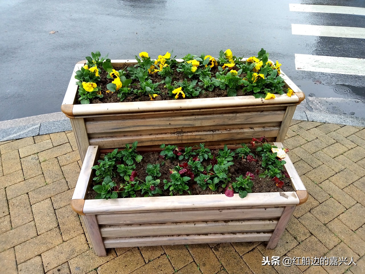 魅族魅蓝e2介绍,魅族魅蓝e2参数