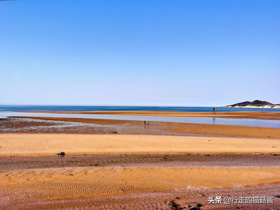 养马岛4a风景区,烟台养马岛景区