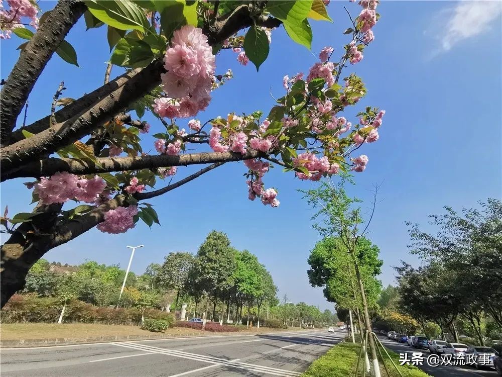 成都双流最美公园,公园城市的美