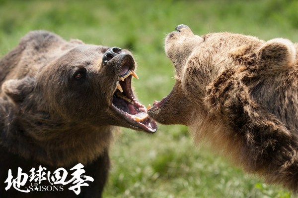 观赏地球的壮丽景观,看地球四季变换的视频