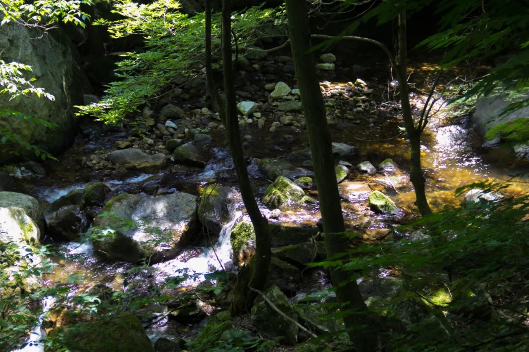 索道9公里,太平山索道80一个来回多久