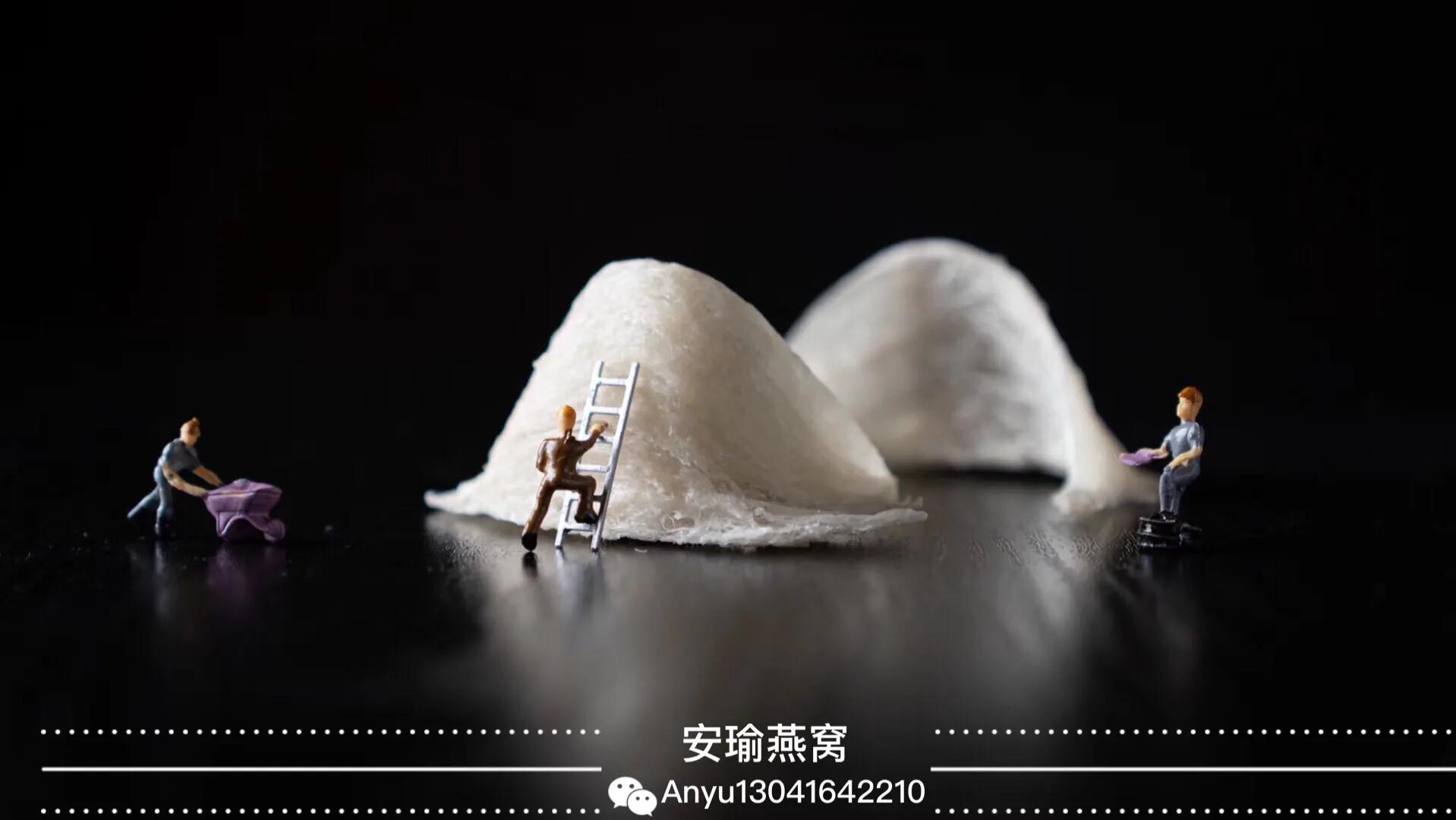 马来西亚和印尼的燕窝价格,马来西亚和印尼的燕窝对比