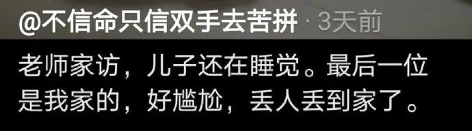 狗狗偷吃红烧肉还把主人坑惨了,狗狗偷吃了好多宠物零食
