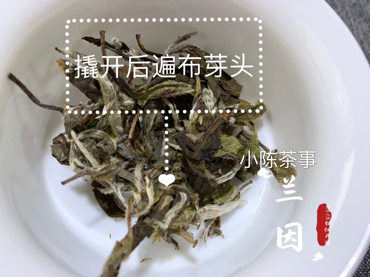 三分钟解读新白茶和老白茶的区别,白茶老白茶怎么选