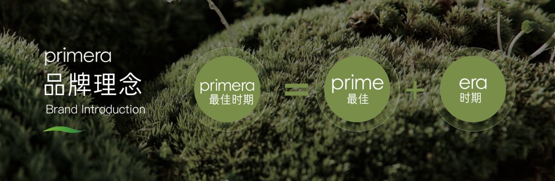 不会ppt模板怎么办,不会拍图片怎么办