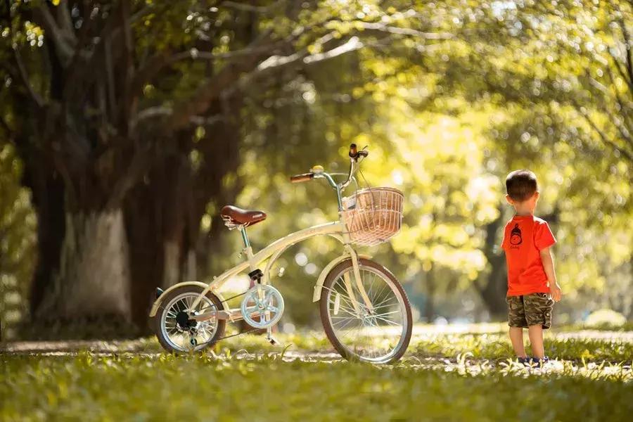 男子发现恐龙蛋化石,11枚恐龙蛋被9岁小孩发现