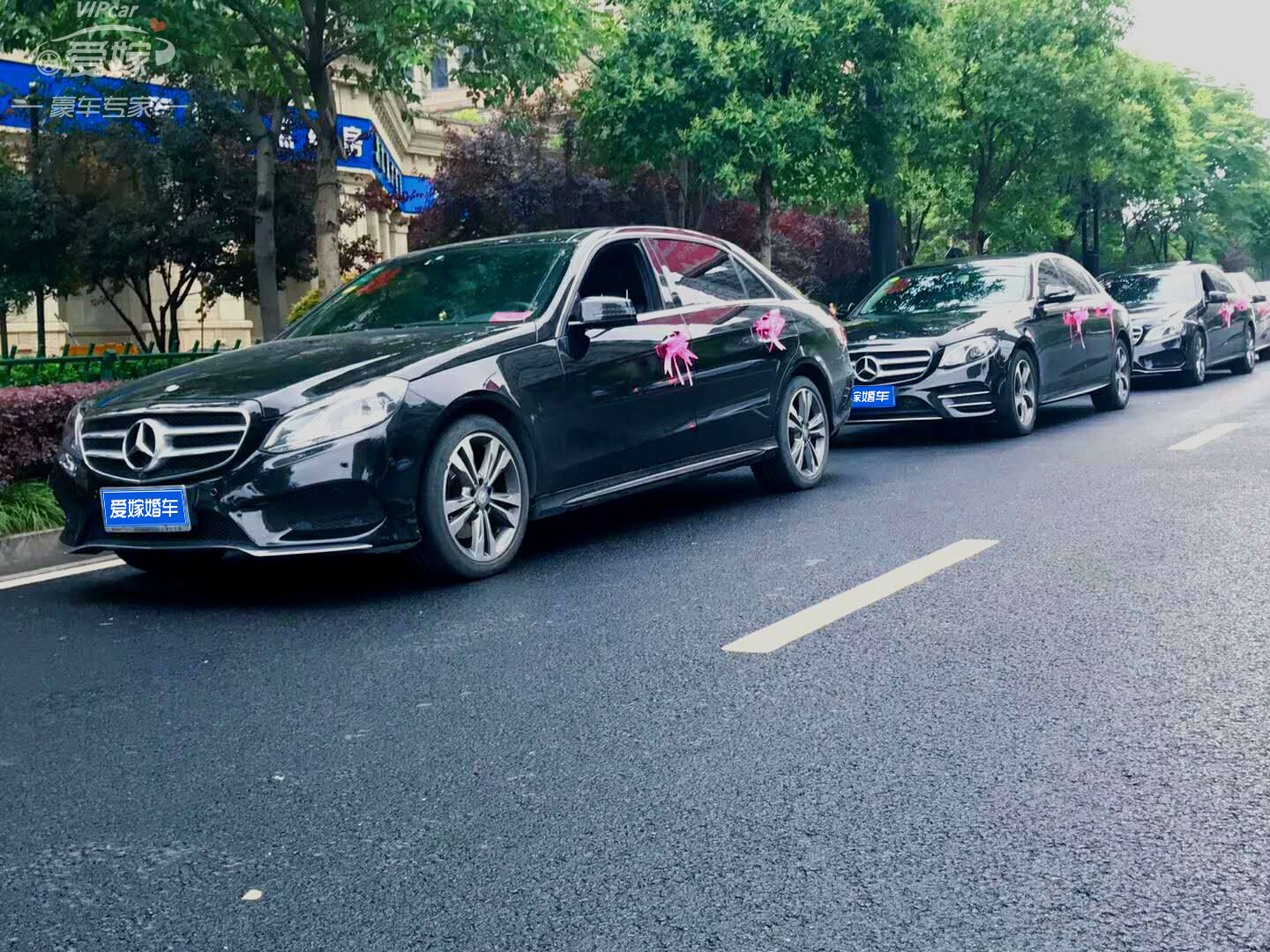 杭州租婚车价格表,杭州租奔驰商务多少钱一天