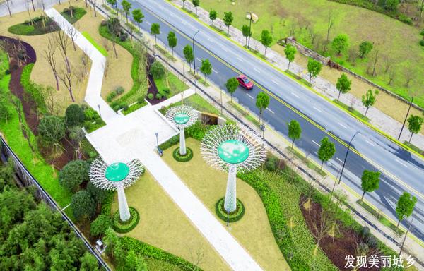 盛年不重来一日难再晨下一句,盛年不重来一日难再晨书法