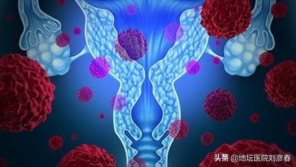 写给未育的姑娘们,宫颈与子宫同样重要,它与未来的宝宝息息相关