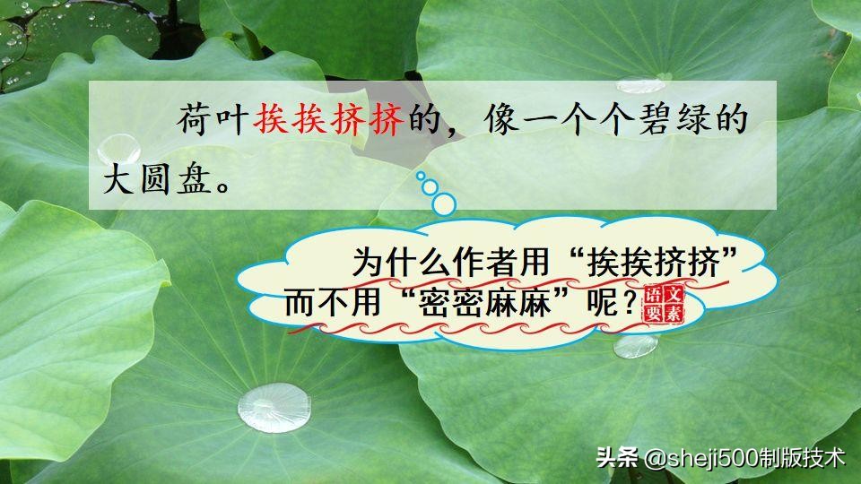 部编版三年级下册语文3荷花讲解,三年级下册部编语文荷花教学视频