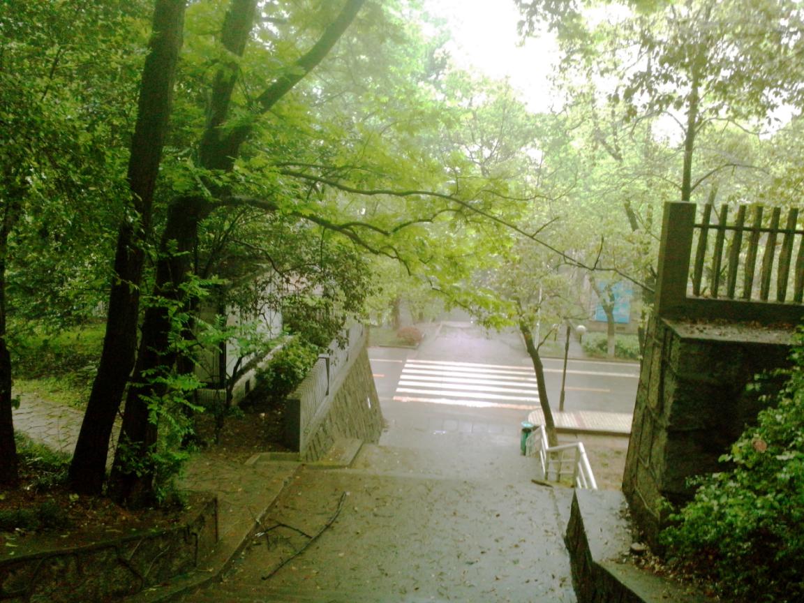 香樟往事——02宿管的女儿