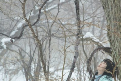 《挪威的森林》：年少只是听懂一首歌曲，读懂已是告别爱情的书