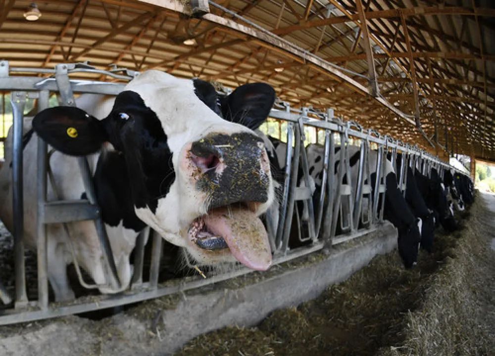 韩国免税店为什么烧掉免税商品,韩国免税店商品被禁