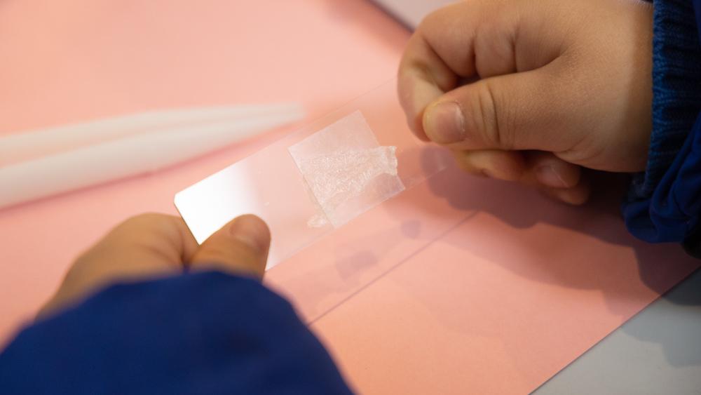 当当狸智能显微镜儿童便携式,当当狸智能显微镜测试