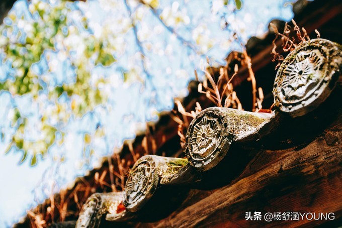 隐匿于城市的世外桃源,隐藏在深山中的世外桃源