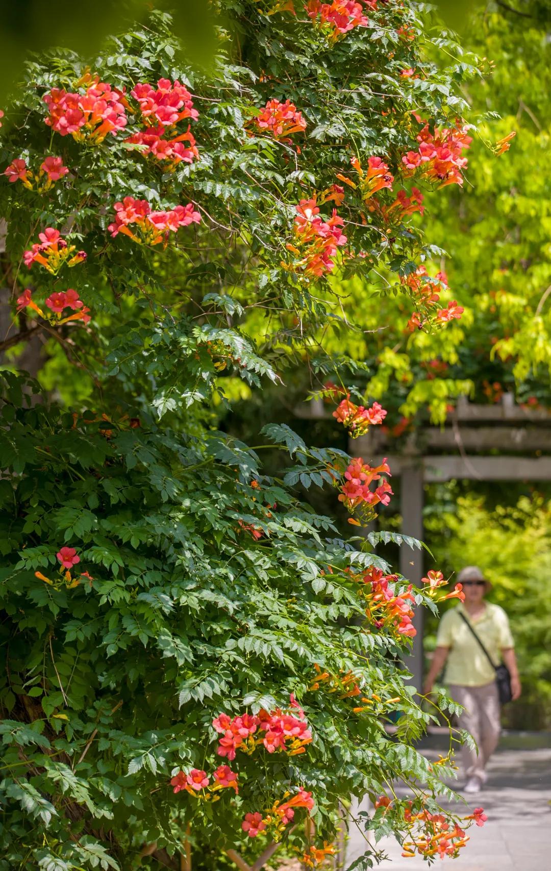 在济南花式避暑，一见“清”心！只需一瞥，便足以把酷夏原谅…
