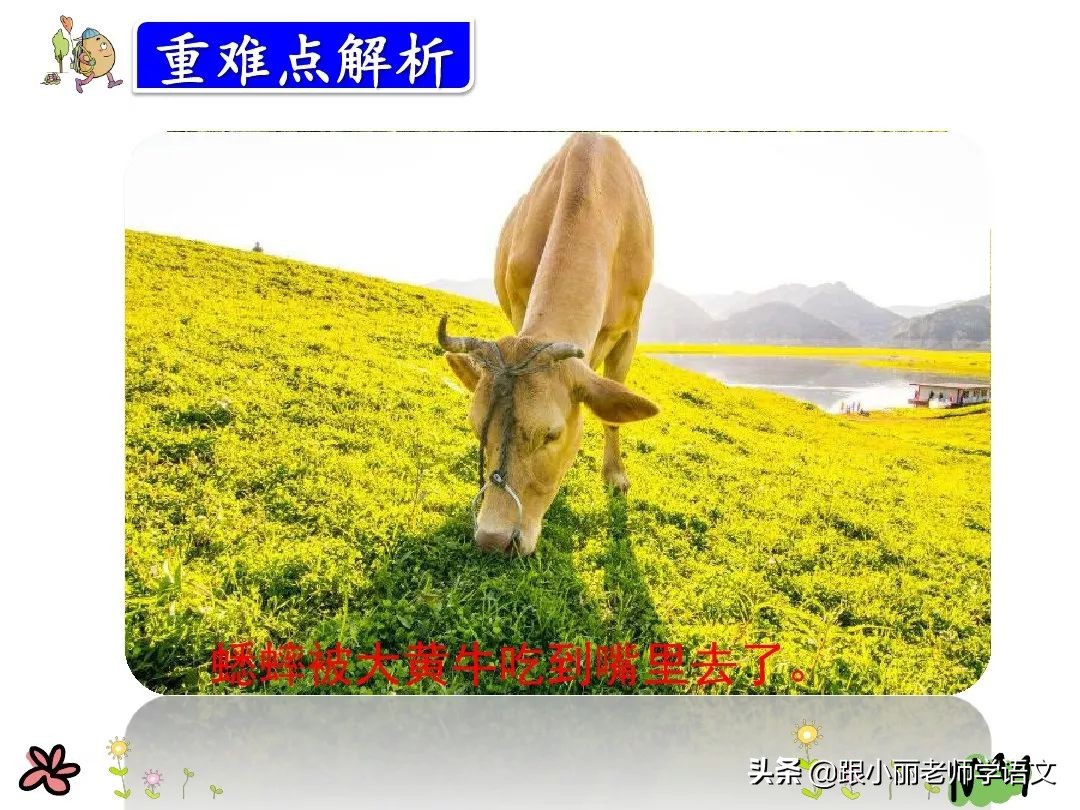 三年级上册在牛的肚子里旅行预习,三上语文在牛肚子里旅行同步讲解