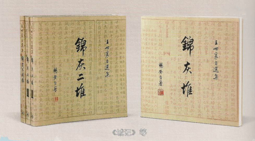 《但是还有书籍》：快时代里，人唯一可以随身携带的避难所与花园