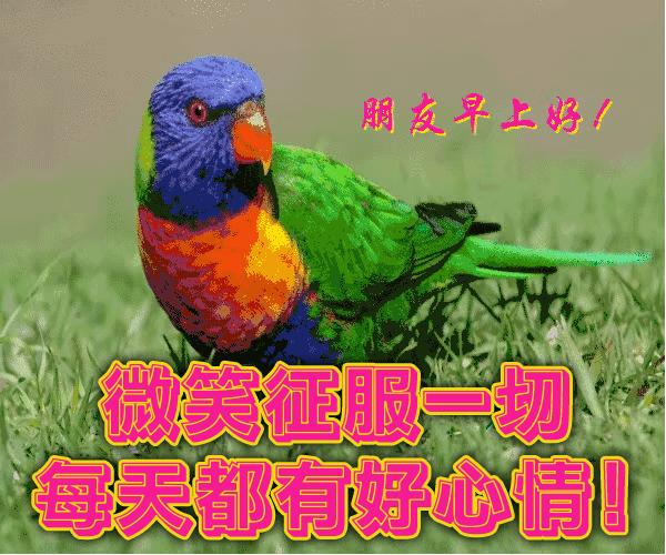 最新早晨好图片问候表情包,2019早上问候动态表情图