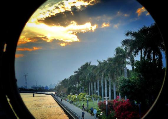 鸽群飞翔视频大全,鸽群飞翔视频