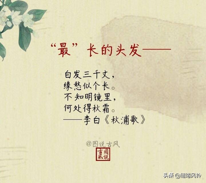 古诗词之“最”:莫道不销魂,帘卷西风,人比黄花瘦!