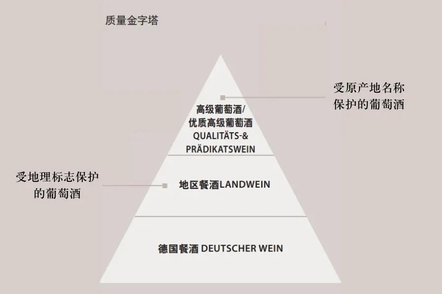 包学包会视频教程,一分钟看懂德国葡萄酒