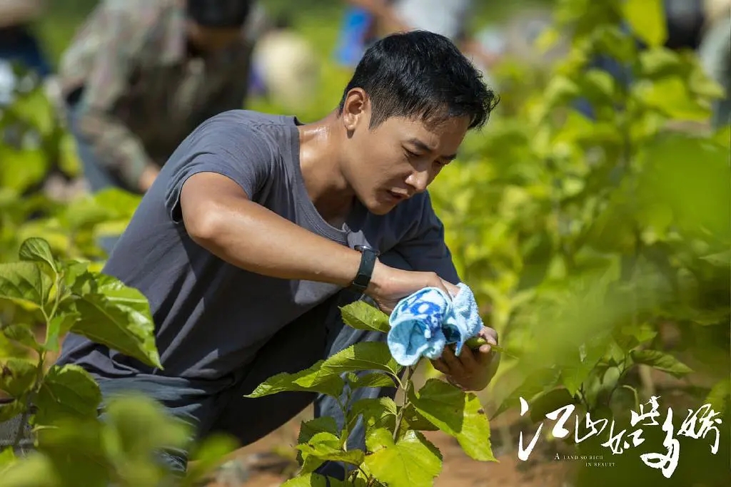 司藤推荐相关剧,司藤这部电视剧符合你的预期吗