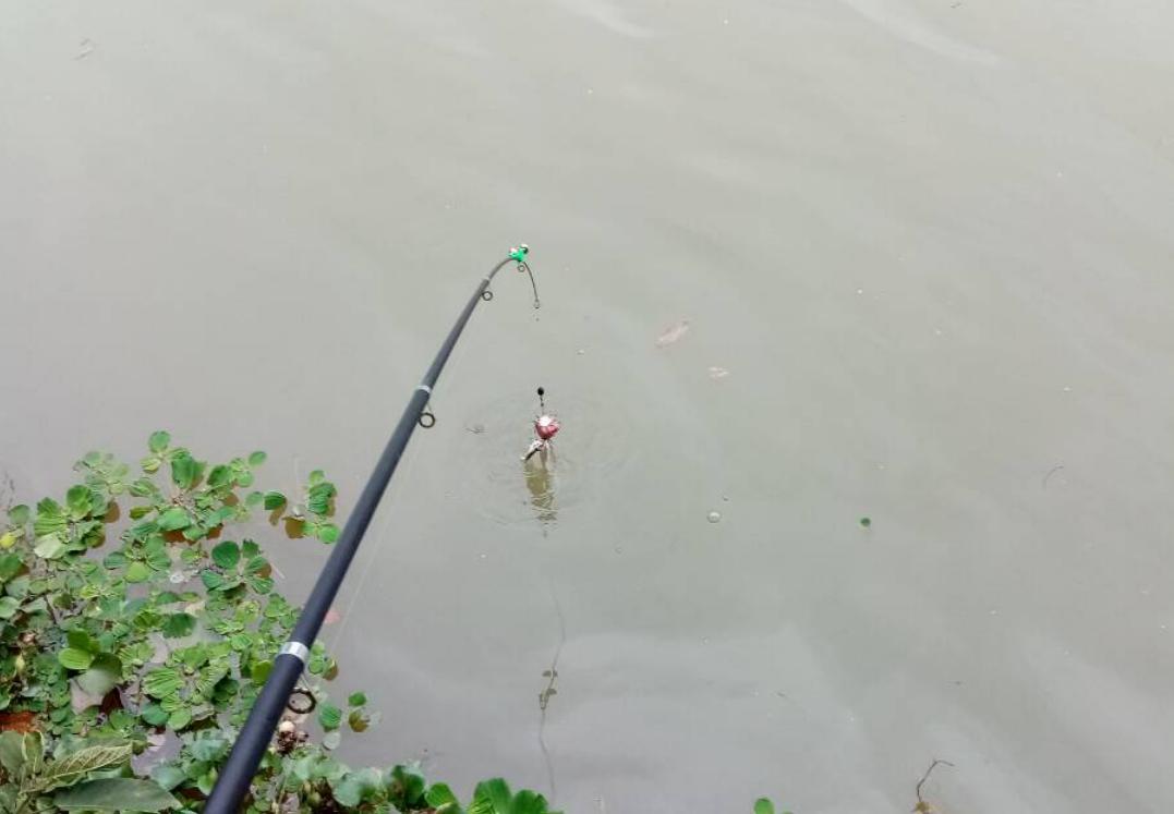 冬季野钓鲤鲫小药,冬季钓鲫鲤用什么小药