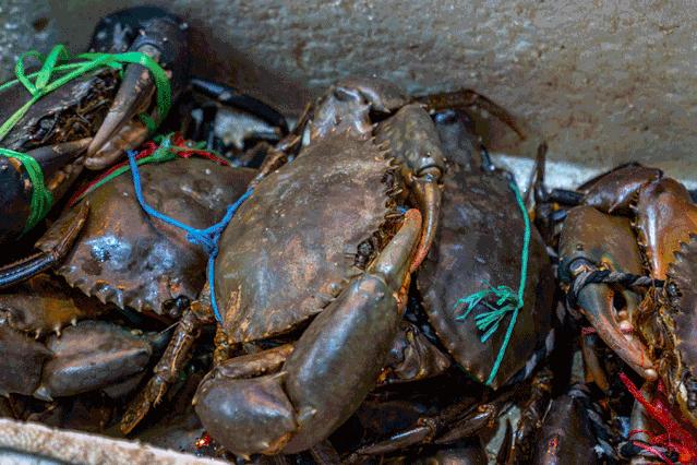 钖呯緤姣涘墎鎵嬪厷,3鏈堟渶鍚庝竴娉㈣枀缇婃瘺鎸囧崡
