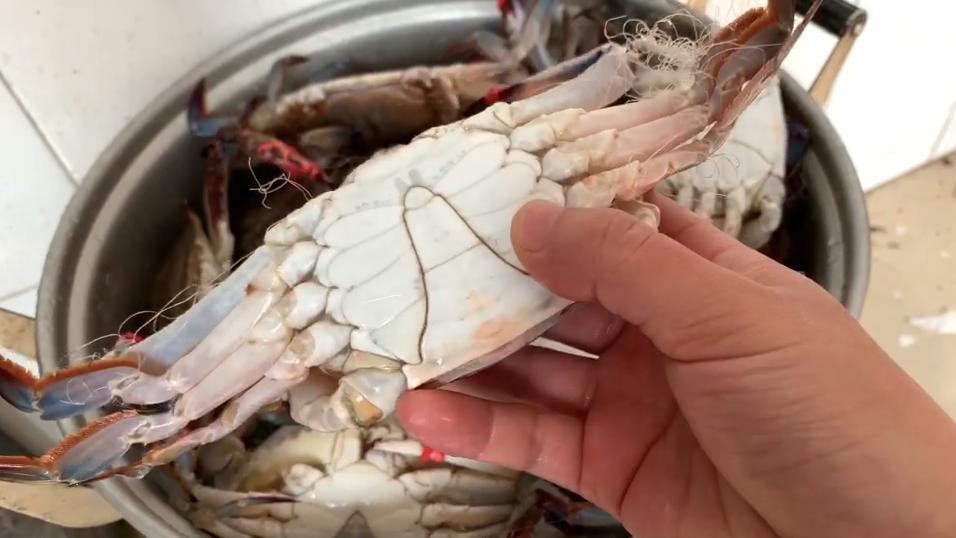 爱吃螃蟹不会剥,螃蟹怎么挑肥的蟹膏多的