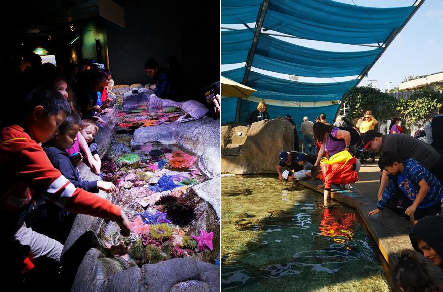 长隆度假区真实测评,长隆测试