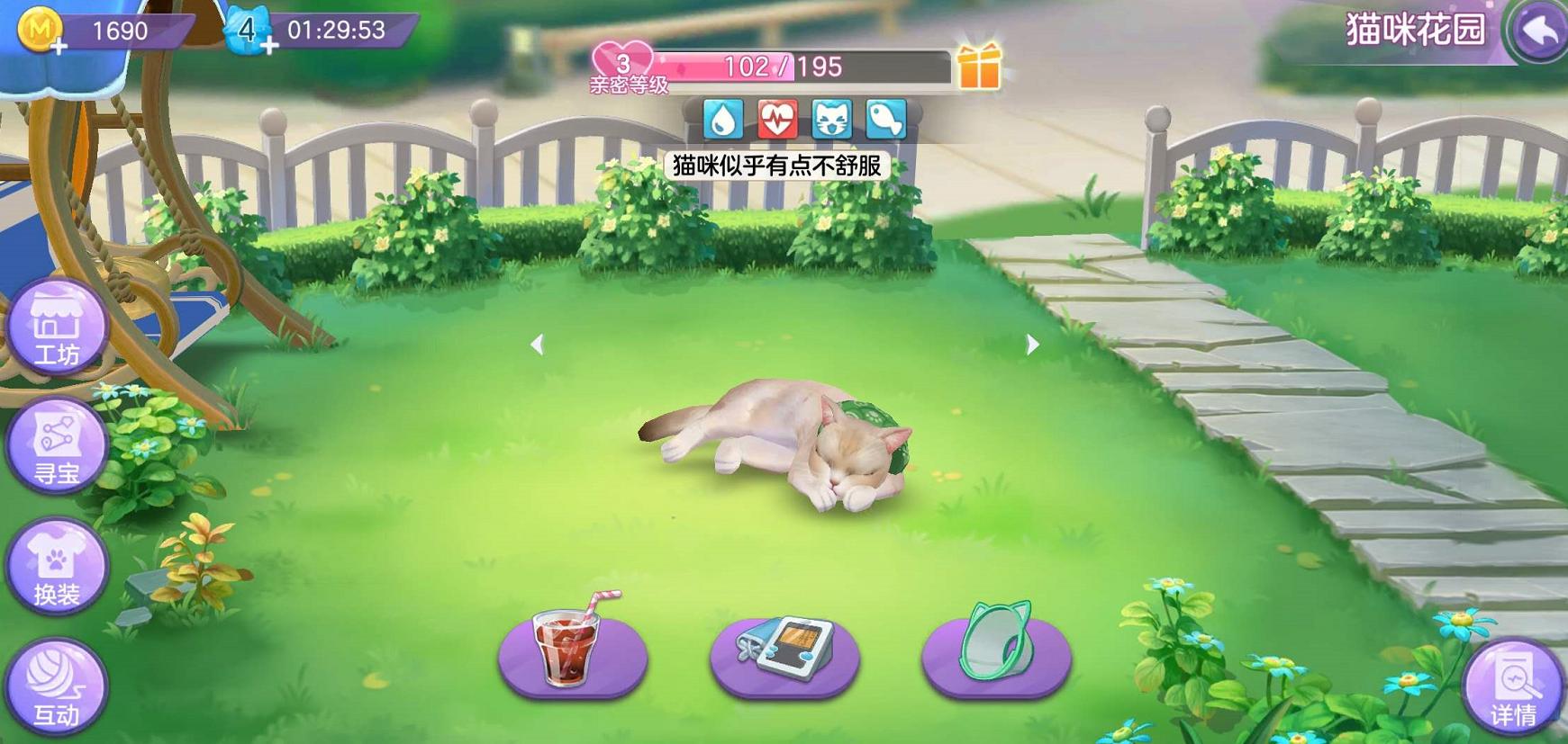 云养猫怎么玩,云养猫能玩什么